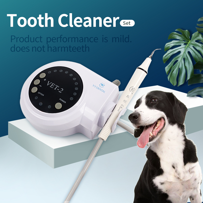 Teeth Whitening Session - Pet Dental Ultrasonic Scaler Dog Professional