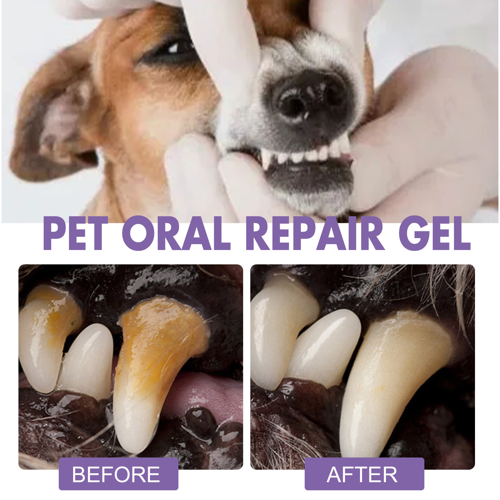 Pet Oral Repair Gel Puppy Tart - Teeth Whitening With Hydrogen Peroxide recension och pris